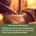 Aphrodisiac Massage Oil for Couples | Tattva's Herbs - Enhance Intimacy & Relaxation with Agarwood Ashwagandha & Cinnamon - Buy Online on GoSupps.com