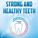 Aquafresh Cool Mint Toothpaste 5.6oz - Cavity Protection & Fluoride Formula - Buy Online on GoSupps.com
