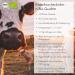 Organic Bone Broth Beef 1 Litre - Made in Germany 1000ml Beef Broth - Buy Online on GoSupps.com