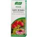 A.VOGEL - Urinary health - Fights against urinary infections cystitis - Urinary comfort - Bearberry extract and fresh Echinacea - 100% natural and organic plant active ingredients - 50 ml - Buy Online on GoSupps.com