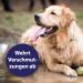 Canosept Fur Care Spray for Dogs 250ml - De-Filzing & Mite Solution for Easy-to-Comb Shiny Fur - Buy Online on GoSupps.com