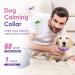 Nolace Calming Capacity Collar for Cats & Dogs - Soothing Adjustable Pheromone Collar (2 Pack) - Safe Waterproof Sedative for Fear Relief - Buy Online on GoSupps.com