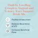 Buy Lovebug Flush Probiotic Drink Mix - Urinary Tract Health & Vaginal Probiotics for Women | 5 Billion CFU D-Mannose Vitamin C Cranberry | 16 Packets for UTI & Gut Support - Buy Online on GoSupps.com