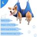 DaizySight Dog Grooming Hammock Kit for Medium Dogs - Size: L Hanging Cradle Sling for Nail Trimming Clipping Blue - Buy Online on GoSupps.com