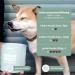 Mammaly Fresh Smile Dental Care Snacks for Dogs | Freshen Breath & Promote Dental Health | Fressnapf Innovation Award Winner - 360 Snacks (4 Pack) - Buy Online on GoSupps.com