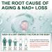 Vikaywoo NAD Supplement 1585 Mg -True NAD & Resveratrol NMN Alternative Liposomal NAD+ for Women & Men Support Cellular Health Stamina & Healthy Aging - 120 Capsules - Buy Online on GoSupps.com