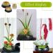 Japanese Flower Pin Holder Set - 3 Sizes (0.91, 1.34, 1.81) for Floral Arrangement and Decoration - Buy Online on GoSupps.com