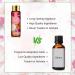 Peach Fragrance Oil for Diffuser, Aromatherapy, Soap & Candle Making - 10ml (Pack of 1) - Buy Online on GoSupps.com