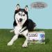 Tumbo Dog Snake System - 150 ft Stretchable Coiled Cable with Anti-Shock Bungee | Safe & Tangle-Free Antenna for Dogs - International Shipping Available - Buy Online on GoSupps.com