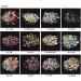 CHSEEO 12 Boxes Nail Art Rhinestones Set Nail Tips Studs Stones Diamonds Beads Glitter Rhinestones Slice Crystals Gems for DIY Nails Makeup Clothes Shoes Bags Decoration #13 - Buy Online on GoSupps.com