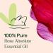 Plant Therapy Rose Absolute Essential Oil 10 mL (1/3 oz) 100% Pure Undiluted Calming & Emotionally Grounding Great Essential Oil for Skincare 0.33 Fl Oz (Pack of 1) - Buy Online on GoSupps.com