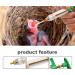 Bird Feeding Spray Baby Vogel Kit - 6PCs Set | 20ml Hand Feeding Device for Sick Birds Hose Spoon & Scale Included - Buy Online on GoSupps.com