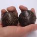 Unb Ballstretch Magnetic Stress Ball - Solid Handball for Fitness & Hand Exercises | Stress Relief Guaranteed - Buy Online on GoSupps.com