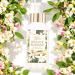 Orange Blossom Fine Fragrance Mist by Body Botanic 4 Fl Oz 118 mL - with Plant Extracts and the Dreamy Scent of Orange Blossoms in Full Bloom - Buy Online on GoSupps.com
