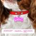 Ibera Gifts - Personalized Bone-Shaped Pendants for Medium to Large Dogs & Cats - Custom Engraved Dog Collars Neck Bands & Name Tags (Pink with Stars) - Buy Online on GoSupps.com