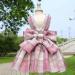 PETCARE Plaid Dog Dress Bow Tie Harness Leash Set | Small Dogs & Cats | Princess Puppy Outfit | Chihuahua Yorkies | Spring Summer Clothes | Pink (Suggested 3-5 lbs) - Buy Online on GoSupps.com