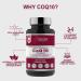 Super Strength 100mg CoQ10 Softgel Capsules - 90 Count | Vegan-Friendly, High Absorption, UK-Made to GMP Standards - Buy Online on GoSupps.com