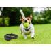 GPS Electric Dog Fence In-ground/Aboveground Pet Containment System IP66 Waterproof&Rechargeable Collar Shock&Tone Correction Distance Adjustment Max 1000M (White) - Buy Online on GoSupps.com