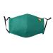 Spring Notion Reusable Washable Solid Color Cotton Cloth Face Mask Hunter Green Medium Hunter Green Medium (Pack of 1)