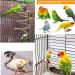 JIAYUE Bird Toys | Rope Bungee Chewing Toy for Parrots & Small Birds (9pcs) - Cage Accessories for Parakeets, Cockatiels, Macaws, Lovebirds - Buy Online on GoSupps.com