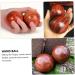 Clispeed 4-Piece Solid Wood Spiky Massage Balls - Foot & Hand Gymnasium Massage Meditation & Relaxation - Buy Online on GoSupps.com