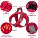 Red Padded Dog Harness for Small Dogs | XXS Puppy Harness - Comfortable & Durable - Buy Online on GoSupps.com