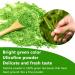 MB Superfoods Japanese Organic Matcha Green Tea Powder - Ceremonial Grade Pure Vegan Ideal for Drinking Cooking Baking & Smoothies Enhances Focus & Energy - 100g - Buy Online on GoSupps.com