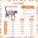 Hairless Cat Summer T-Shirt - Soft Breathable Cotton Clothing for Sphynx & Rex Breeds | Skin-Friendly Pet Pajama Jumpsuit (4.4-5.5lbs) - Violet - Buy Online on GoSupps.com