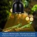 Repti Home 5.5 Inch Terrarium Dome Lamp E27 - Ideal Heat & UVB Lamp for Reptiles - 100W Aluminum Reflector - Buy Online on GoSupps.com