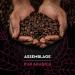 CARTE NOIRE - Caf Grain Carte Noire Espresso - 100% Arabica - Paquet de 6 kg - Fabriqu en France - Buy Online on GoSupps.com