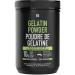 Buy Sports Research Unflavored Gelatin Powder - 16 oz (454g) for Healthy Recipes & Wellness - Buy Online on GoSupps.com