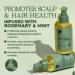 Shop Luseta Rosemary Oil for Hair Growth - Strengthening & Moisturizing Formula for Thinning Damaged Hair Split Ends - Color Safe | 3.38oz - International Shipping Available - Buy Online on GoSupps.com