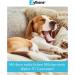 Vetoquinol Zylk ne 225mg - 100 Capsules for Pet Anxiety Relief | Buy Online - Fast International Shipping - Buy Online on GoSupps.com