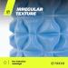 Trexo Foam Roller 33x14 cm Premium Massage Roller for Muscle Relaxation & Rehabilitation Supports Up to 200 kg Ideal for Foam Scooters Blue - Buy Online on GoSupps.com