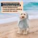 True Love of Animals Dog Towel - Washable Quick-Dry Bathrobe for All Dog Sizes - Cozy Cold Protection - M Dark Gray - Buy Online on GoSupps.com