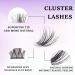 Cluster Lashes 144 Pcs Individual Eyelash Extensions - 10/12/14/15/16mm C/CC/D Curl - Thin Band, Reusable & Natural Soft - OP20 - Buy Online on GoSupps.com