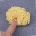 HAPINARY Bath Shower Sponge Bath Sponge Baby Seaweed Honeycomb - Buy Online on GoSupps.com