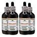Bergamot Alcohol-Free Liquid Extract Bergamot (Citrus Bergamia) Dried Fruit Peel Glycerite Hawaii Pharm Natural Herbal Supplement 4x4 oz 16 Fl Oz (Pack of 1)