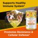 Organic Veda Turmeric Golden Super Milk Latte Mix - USDA Certified, High Curcumin & Ayurvedic Herbs for Energy, Focus & Immune Support - 8 oz - Buy Online on GoSupps.com