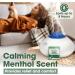 Buy 20 Pack Berkland Menthol Eucalyptus Humidifier Pads | Universal Vapor Pads for VKs Crane & More | Natural Waterless Vaporizers for Cold/Flu Relief - Buy Online on GoSupps.com