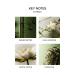NEST Fragrances Bamboo Liquid Hand Soap - 10 Fl Oz - Buy Online on GoSupps.com