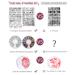 Nail Stamp Kit - 15PCS Stamping Plates, 2 Stampers, Rhinestone Decorations, Scrapers, Organizer Bag - Set of 26 - Buy Online on GoSupps.com