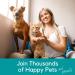 PB Pets Hemp Oil for Dogs and Cats - USA Made - Anxiety & Pain Relief - Omega Complex - Arthritis Support - Buy Online on GoSupps.com