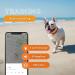 Weeneect XS Mini GPS Tracker for Dogs - Real-Time Tracking Waterproof & Subscription | Smallest Model 2023 - Buy Online on GoSupps.com