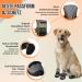 Slowton Dog Shoes - Breathable Paw Protection Boots with Non-Slip Sole & Reflective Velcro Fastener for Small Medium & Large Dogs - Size 3 (Width 5 cm) - 2 Pieces - Buy Online on GoSupps.com