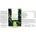 Bitter Herbs Elixir - Alcohol-Free Vegan Drops 50ml | Herbal Kick Inspired by Hildegard von Bingen - Buy Online on GoSupps.com