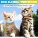 Buy 4-Pack Cat Collars - 48cm Blue & Orange | International Shipping Available - Buy Online on GoSupps.com