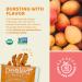 Peeled Snacks Organic Dried Mango - Healthy Vegan On-the-Go Snacks - 1.23 oz (Pack of 10) - Buy Online on GoSupps.com