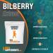 BulkSupplements Bilberry Extract Powder 500g - Eye Health & Antioxidant Support - Bilberry Supplement for Eyes - 1.1 lbs Pack - Buy Online on GoSupps.com
