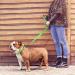 Tagme Reflective Dog Collar & Leash Set - Personalized XL Green Collar & 1.5m Double-Sided Leash for Large Dogs - Perfect for Night Walks - Buy Online on GoSupps.com